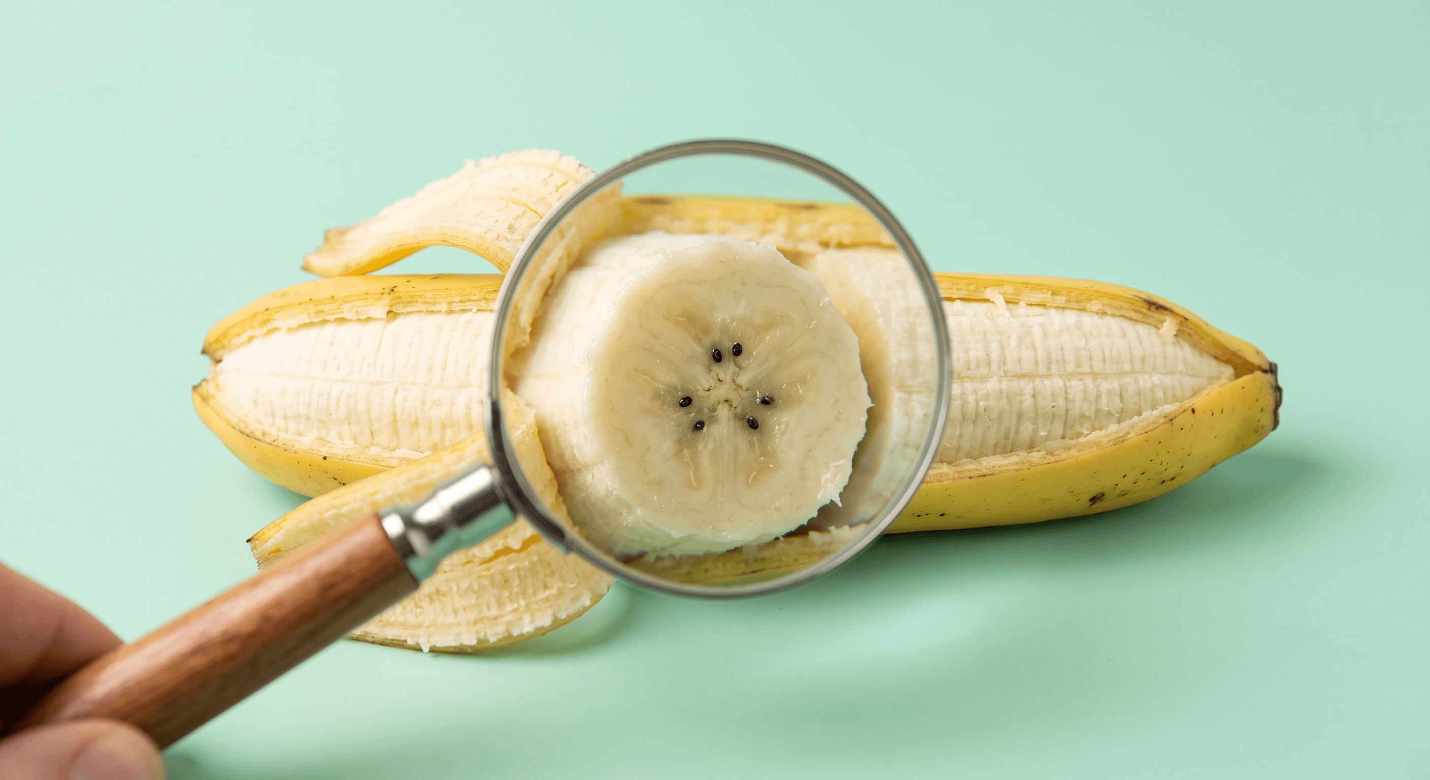 Is a Banana a Berry? The Surprising Truth About Our Favorite Fruit