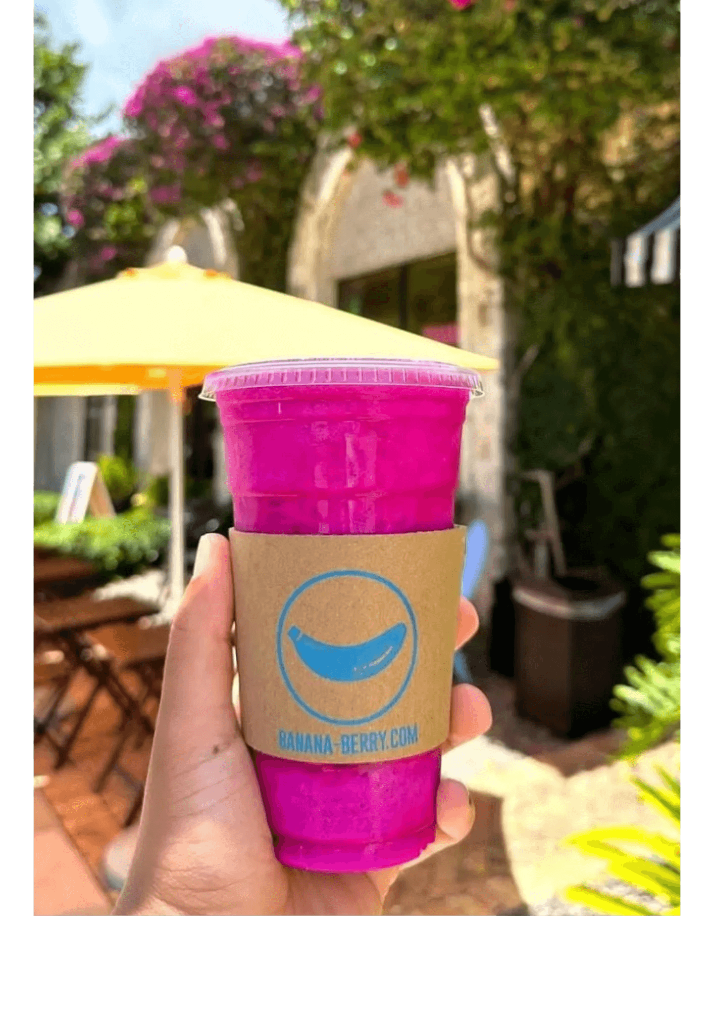 Bright pink pitaya smoothie from Banana Berry in Coral Gables