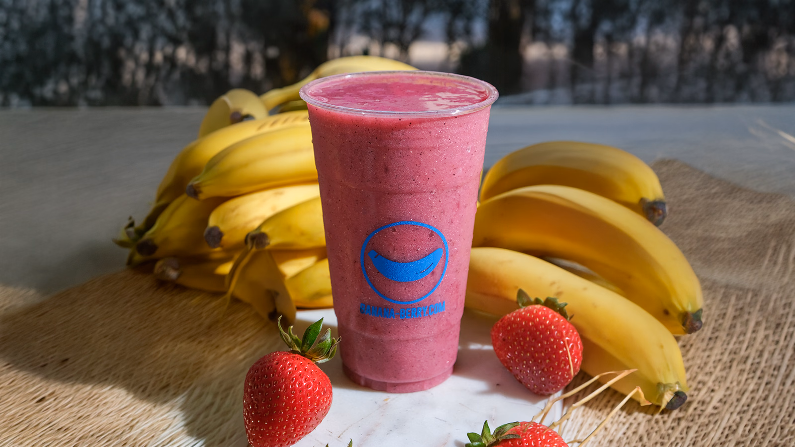 Dónde Comer el Mejor Smoothie Bowl en Coral Gables